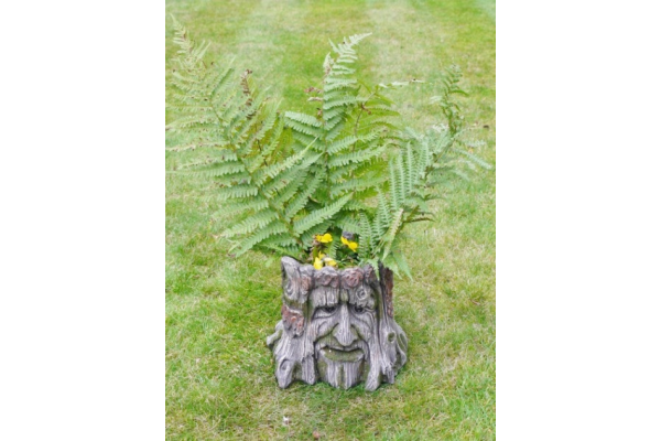 'Man Of The Forest' Tree Stump Planter Pot - Image 4