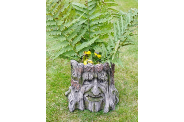'Man Of The Forest' Tree Stump Planter Pot - Image 3