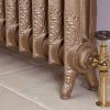 The Rococo Cast Iron Radiator - Image 8